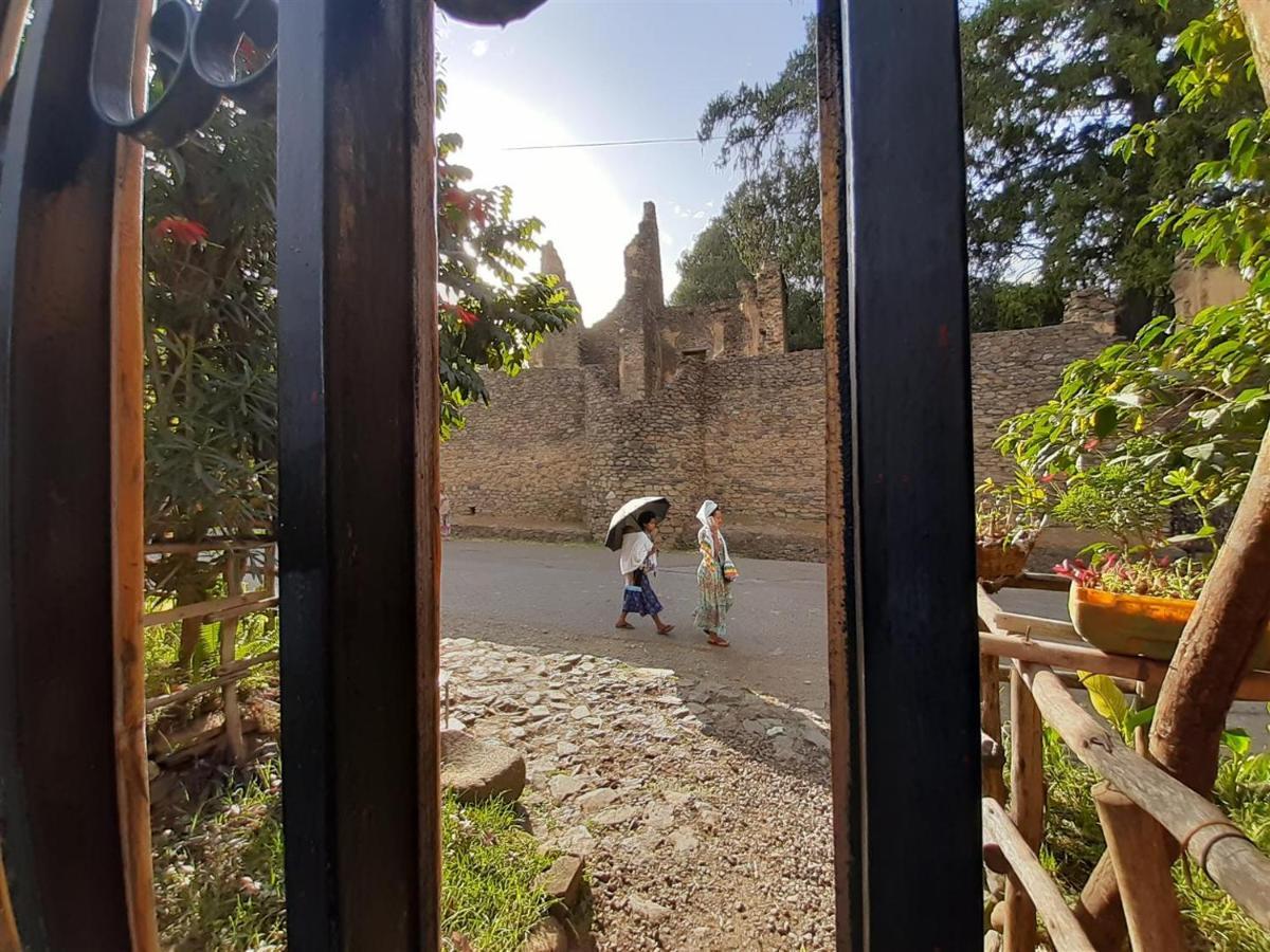 Lodge Du Chateau Gonder ภายนอก รูปภาพ